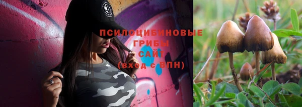 героин Каменка