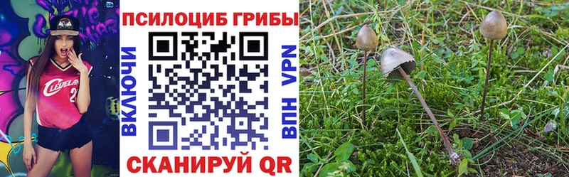 Купить где  Змеиногорск  Псилоцибиновые грибы MAGIC MUSHROOMS 