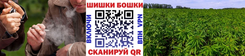 Марихуана OG Kush Купить закладки Змеиногорск